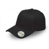 Fashion Pro Style Fitted Cap