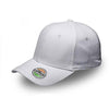 Fashion Pro Style Fitted Cap