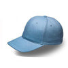Promo Brushed Cotton 6 Panel Cap